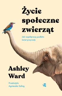 Ashley Ward Życie społeczne zwierząt. Jak współpracą podbito świat przyrody
